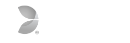 Evolution Gaming Logo